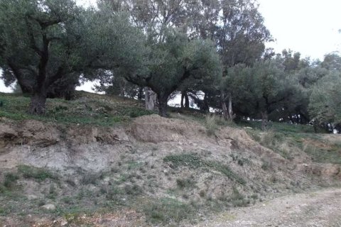 Land in Zakynthos, Greece No. 24530 8