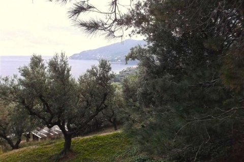 Land in Zakynthos, Greece No. 24530 7
