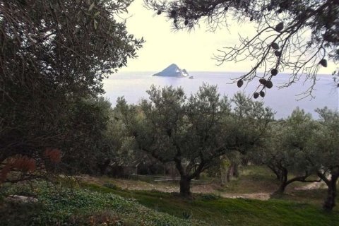 Land in Zakynthos, Greece No. 24530 2