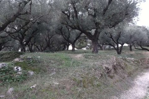 Land in Zakynthos, Greece No. 24530 5