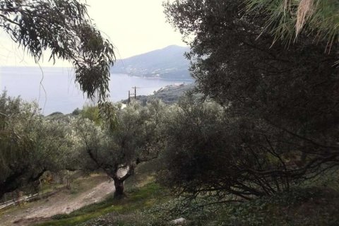 Land in Zakynthos, Greece No. 24530 4