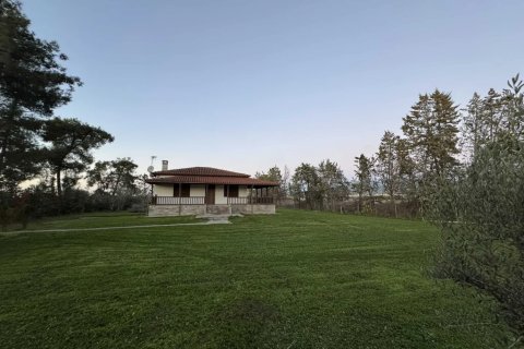 2 bedrooms House in Thermi, Greece No. 122010 2