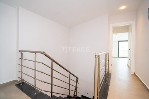 1 bedroom Apartment in Chau Lang, Vietnam No. 75352 24