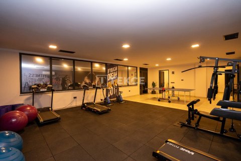 1 bedroom Apartment in Chau Lang, Vietnam No. 75352 15