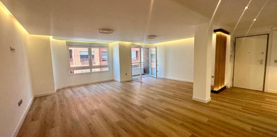 Studio Apartment in Alicante, Spain No. 125723