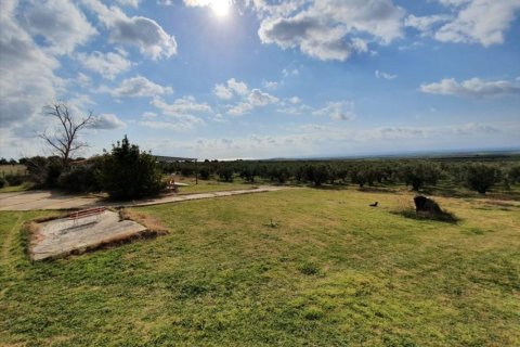 4 bedrooms Villa in Chalkidiki, Greece No. 51275 13