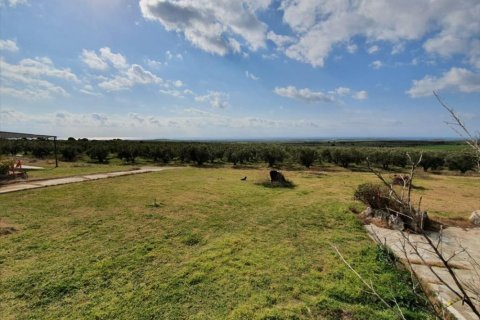 4 bedrooms Villa in Chalkidiki, Greece No. 51275 15