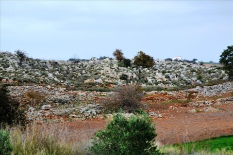 8500m² Land in Rethymno, Greece No. 58961 3