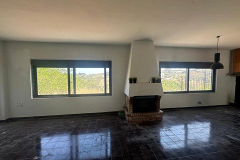 5 bedrooms House in Nea Makri, Greece No. 107649 19