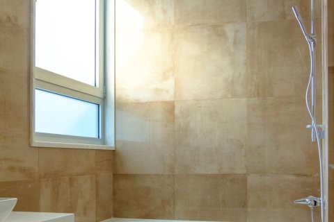 Studio Apartment in Nicosia, Cyprus No. 105295 5