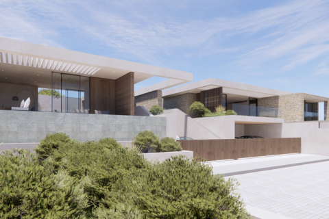 Дом с 4 спальнями в Пейя, Кипр №100562 3