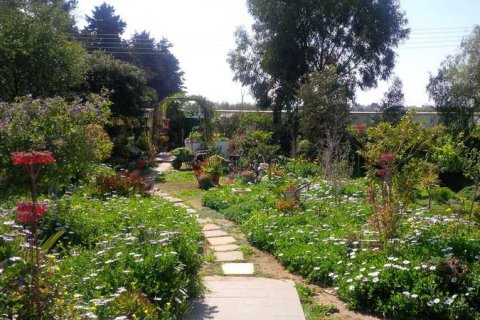 3 bedrooms Villa in Pervolia, Cyprus No. 29991 6