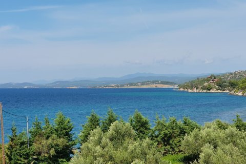 1 chambre Appartement à Chalkidiki, Greece No. 123997 14