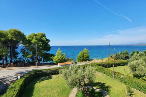 1 chambre Appartement à Chalkidiki, Greece No. 123997