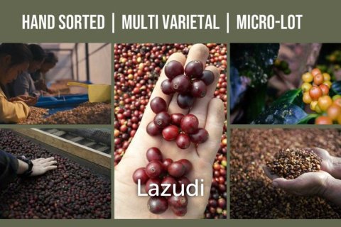 Land en Chiang Mai, Thailand No. 97963 3