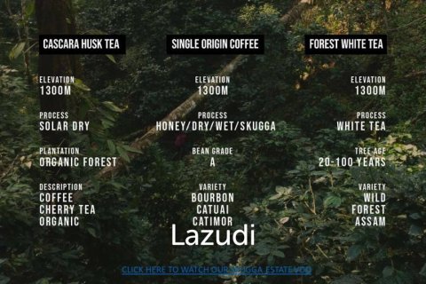 Land en Chiang Mai, Thailand No. 97963 2