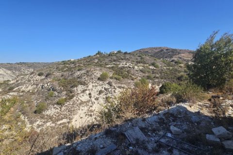 Вилла с 3 спальнями в Арму, Кипр №36661 5