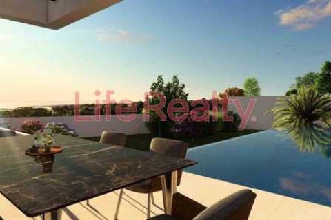 5 bedrooms House in Kouklia, Cyprus No. 101169 17