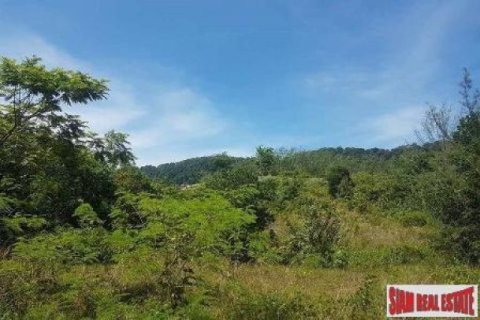 8000m² Land in Ko Lanta Yai, Thailand No. 96526 5