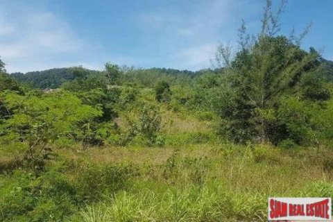 8000m² Land in Ko Lanta Yai, Thailand No. 96526 3