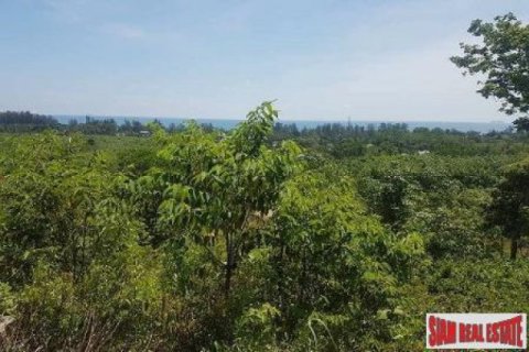 8000m² Land in Ko Lanta Yai, Thailand No. 96526 4