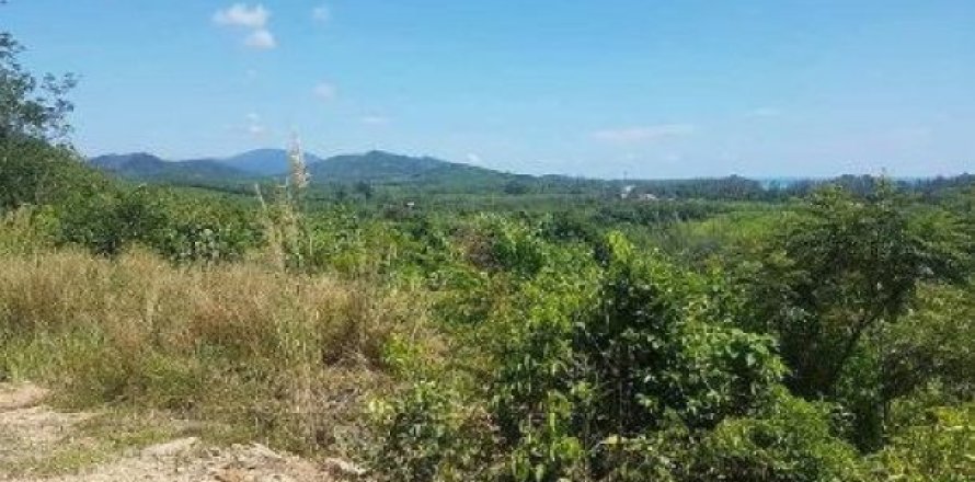 8000m² Land in Ko Lanta Yai, Thailand No. 96526