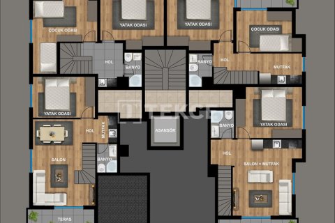 4 bedrooms Penthouse in Phu Tan, Vietnam No. 61031 11