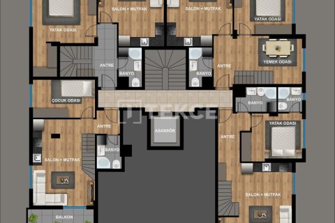 4 bedrooms Penthouse in Phu Tan, Vietnam No. 61031 14