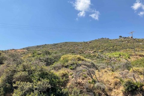 8200m² Land en Gazi, Greece No. 55973 8