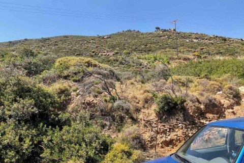 8200m² Land en Gazi, Greece No. 55973 7