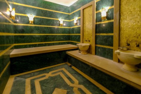 2 rooms Appartement à Tri Phuong, Vietnam No. 22082 21