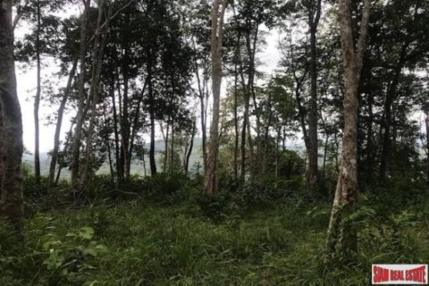 33600m² Land in Ko Kaeo, Thailand No. 96026 2