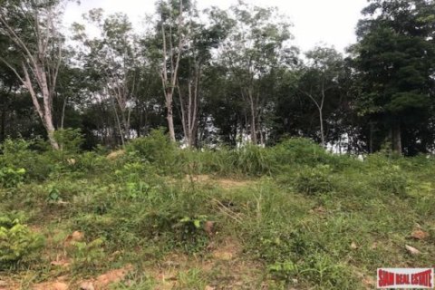 33600m² Land in Ko Kaeo, Thailand No. 96026 5