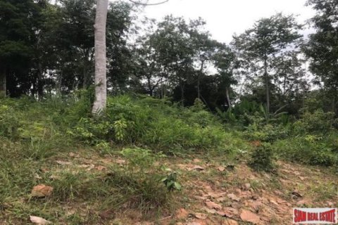 33600m² Land in Ko Kaeo, Thailand No. 96026 4