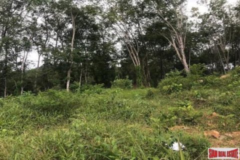 33600m² Land in Ko Kaeo, Thailand No. 96026 6
