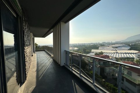 7 rooms Villa in Lien Chieu, Vietnam No. 20853 13