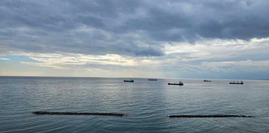 Квартира с 2 спальнями в Лимассол, Кипр №102200