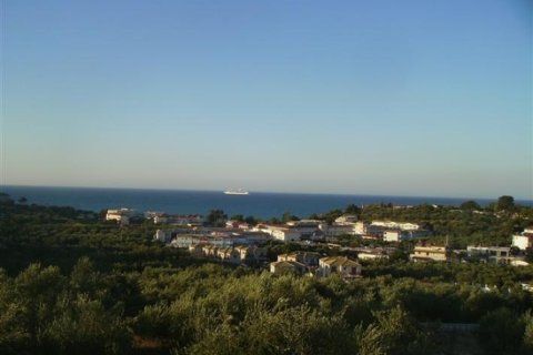 Land en Zakynthos, Greece No. 24612 3