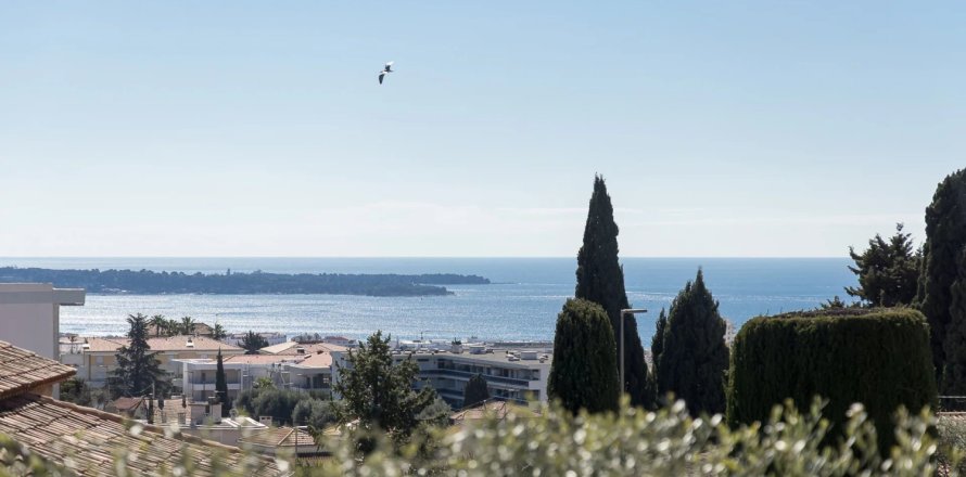 4 bedrooms Villa in Cannes, France No. 100266