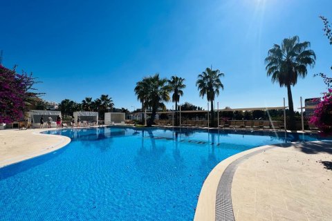 4 habitaciones Villa en Nong Ha, Vietnam No. 20962 23