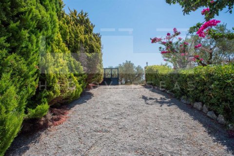5 bedrooms Villa in Crete, Greece No. 82954 15