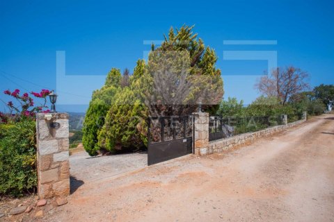 5 bedrooms Villa in Crete, Greece No. 82954 16