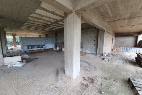 4580m² Land à Agios Nikolaos, Greece No. 56601 5