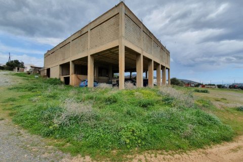 4580m² Land à Agios Nikolaos, Greece No. 56601 1