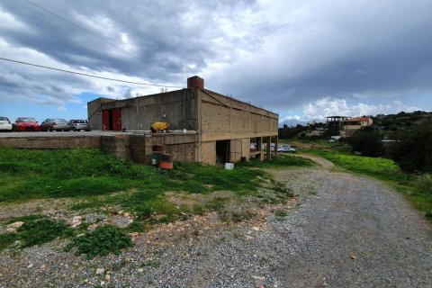 4580m² Land à Agios Nikolaos, Greece No. 56601 2