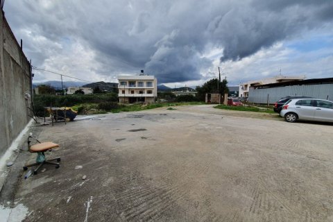 4580m² Land à Agios Nikolaos, Greece No. 56601 3