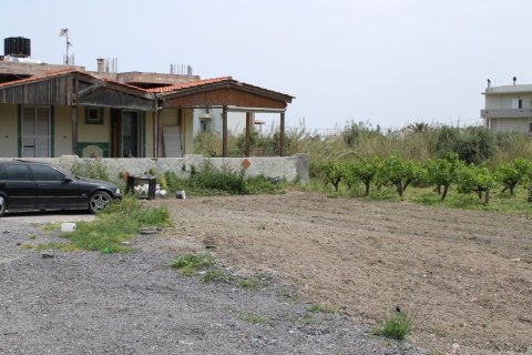 2890m² Land in Gazi, Greece No. 57392 4