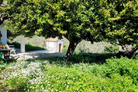 8 rooms Villa in Pelasgia, Greece No. 56503 21