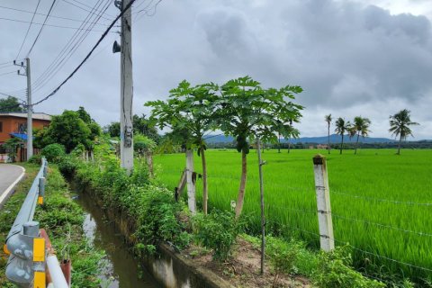 Land en Chiang Mai, Thailand No. 97623 5