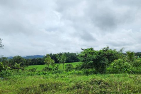 Land en Chiang Mai, Thailand No. 97623 2